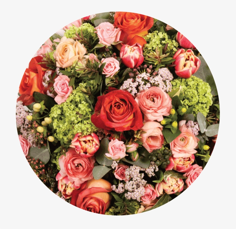 Pastel Colour Scheme - Garden Roses, transparent png