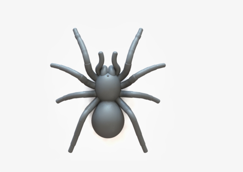 Spider Tarantula 3d Print - Tarantula Print Out, transparent png
