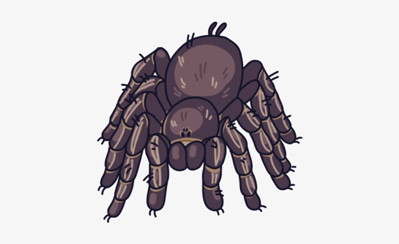 Tarantula Comm For Grimmtaels On Twitter - Cartoon, transparent png