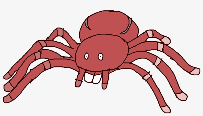 Spinic Tarantula - Tarantula, transparent png