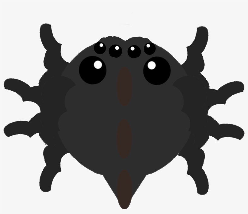 Giant Tarantula Idea- Could Start Off Extremely Small, - Illustration, transparent png