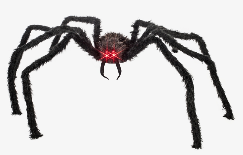 Spider Transparent Huge - Giant Spider Transparent, transparent png