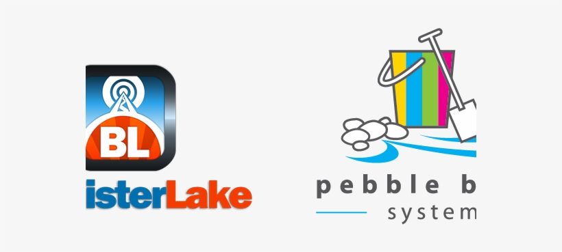 Pebble Beach Systems Features Chameleon With Dolphin - Pebble Beach Systems Png, transparent png