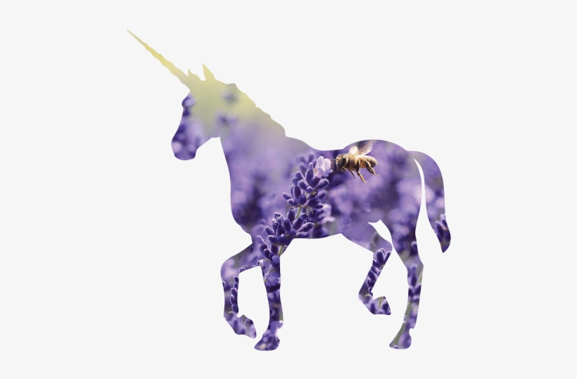 Crop Your Photo Into A Unicorn Shape - Lockscreens Unicorns, transparent png