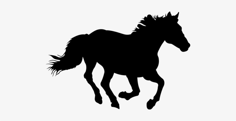 The Horse, Horse, Nature, Animal - Horse, transparent png