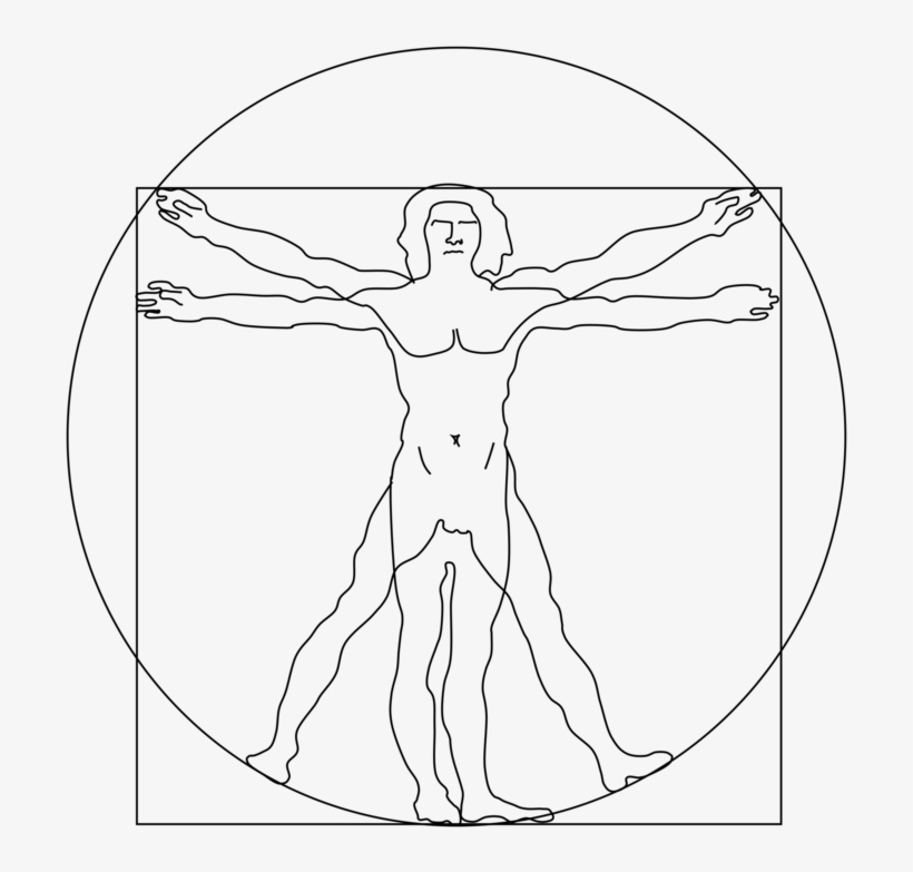 Vitruvian Man Computer Icons Drawing Painting - Vitruvian Man No Background, transparent png
