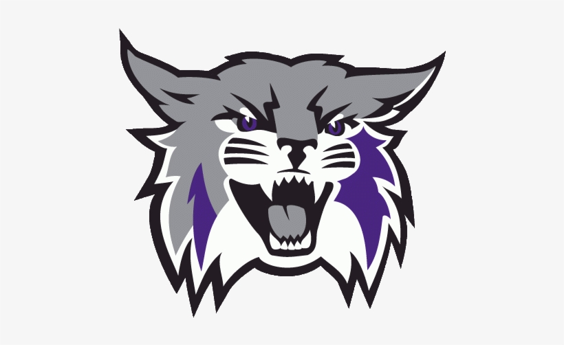 Wildcat - Weber State Wildcat, transparent png