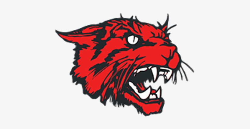 Bobcat Vector Wildcat - New London Wildcats, transparent png
