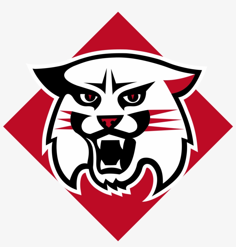 Davidson Wildcats Logo, transparent png