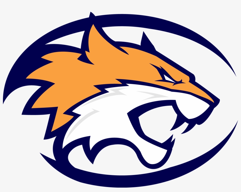 Arizona Wildcats, transparent png