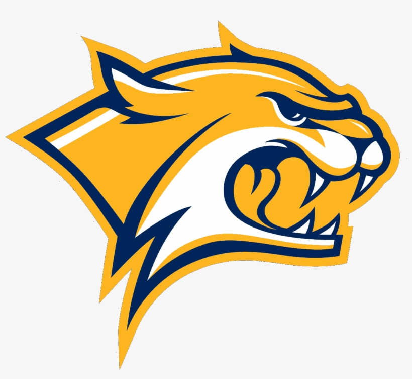 Small - Unh Wildcats Logo, transparent png