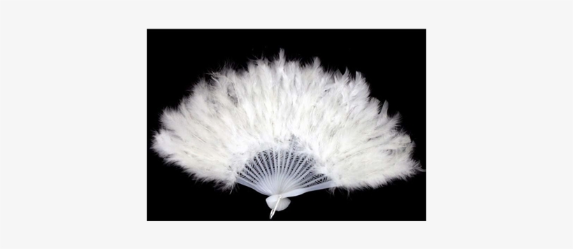 Feather Fan White Approx - Feather Fan Png, transparent png