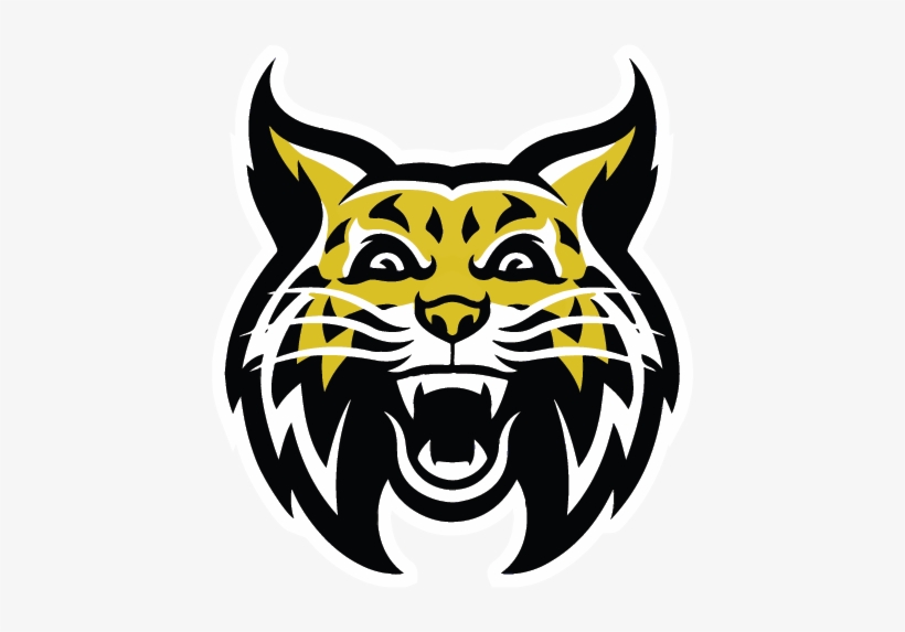 Options - Wildcat Mascot, transparent png