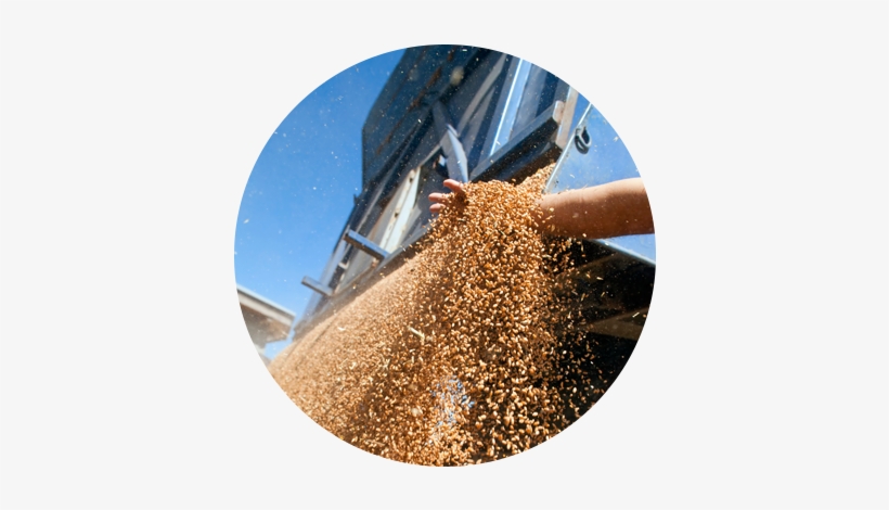 Dust Collection Challenges In The Agricultural Industry - Agricultural Markets Instability: Revisiting The Recent, transparent png