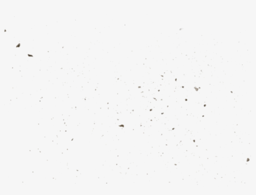 Custom Enclosed - Bird, transparent png