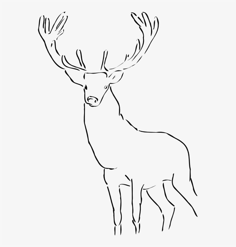 Reindeer Raindeer Stag Black White Line Animal-555px - Outline Of A Stag, transparent png