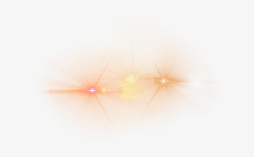 About Us - Insect, transparent png