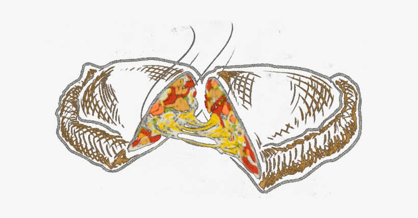 Dough Calzone - D.p. Dough, transparent png