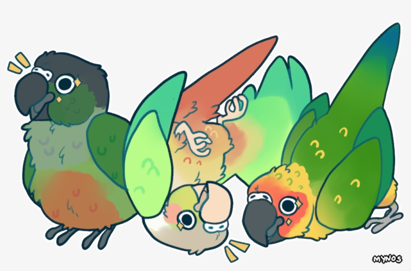 All Hail Bird Orb By Mynosylexia On Deviantart Jpg - Conure, transparent png