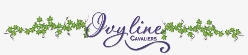 Ivyline Cavaliers - Cleveland Cavaliers, transparent png
