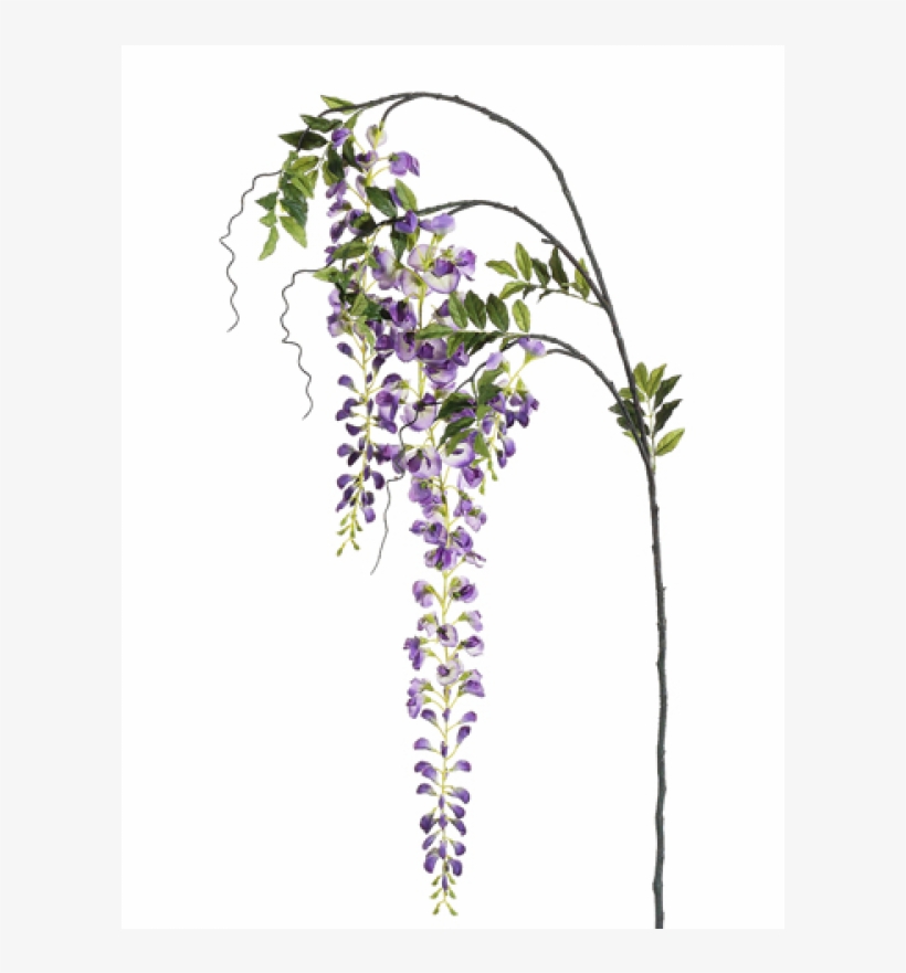 5" Japanese Wisteria Spray Two Tone Lavender - Silk Plants Direct Japanese Wisteria Spray - Lavender, transparent png