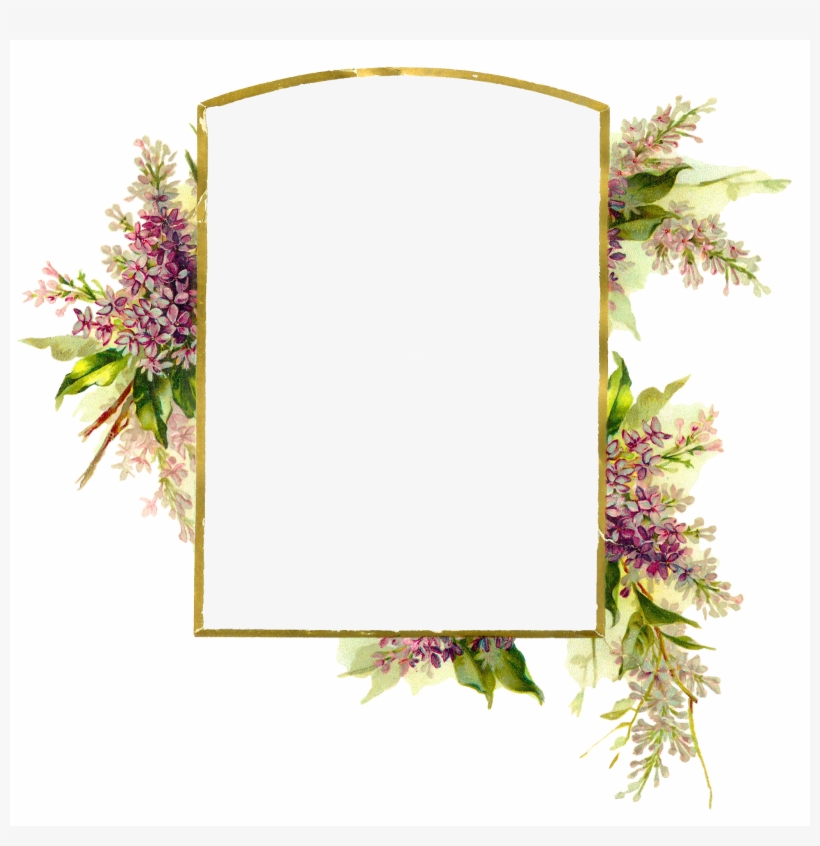 Digital Wisteria Flower Frame Download Png - Design, transparent png