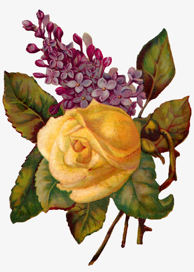 Digital Rose Clip Art - Antiqueimages Blogspot Com Corner, transparent png
