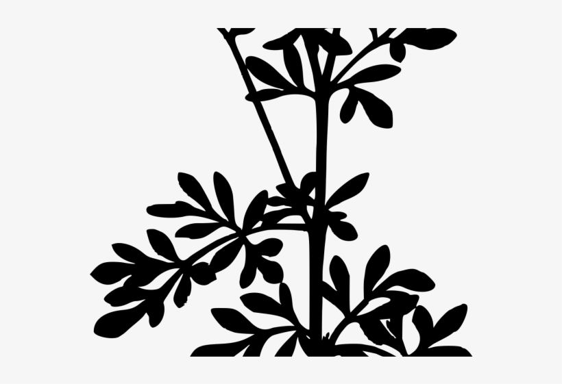 Herbs Clipart Silhouette - Samsung Rude & Gliceryn Soap 3.3 Oz - Jabon De, transparent png