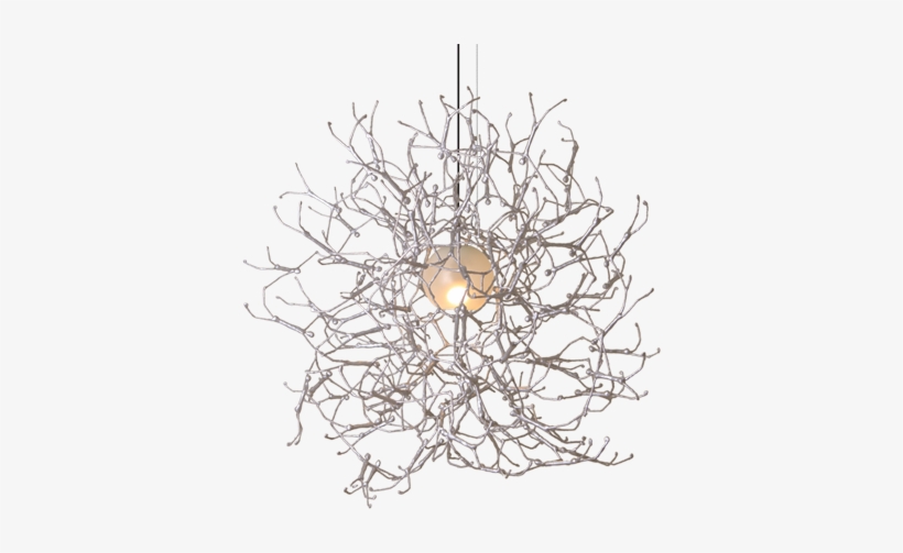 Round Hanging Lamp - Hanging Plant Png Transparent, transparent png