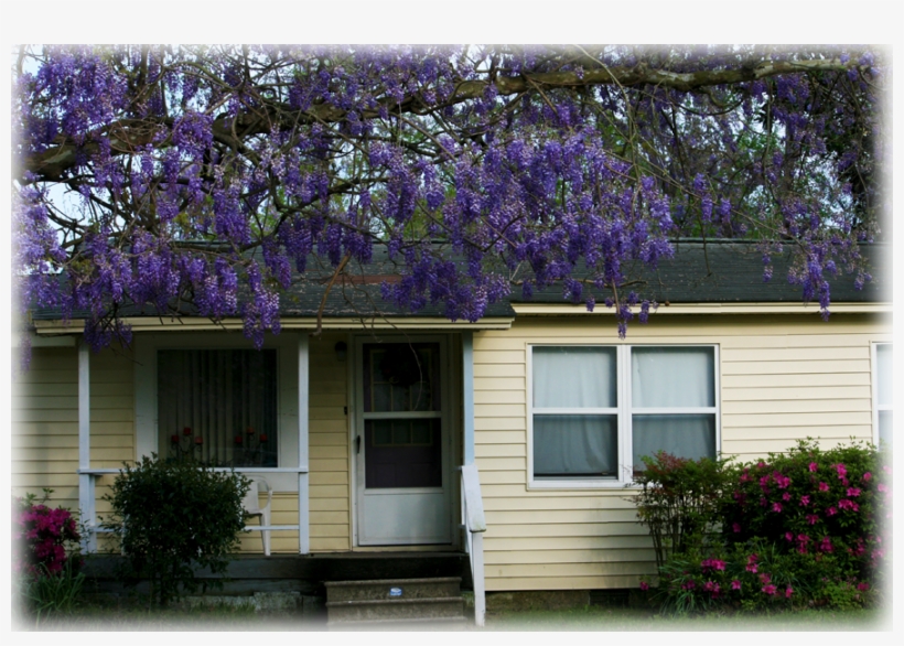 Wild Things Grow - Siding, transparent png