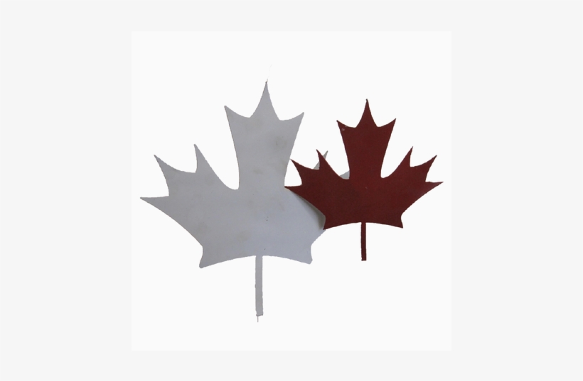 Canada Flag With Cn Tower, transparent png