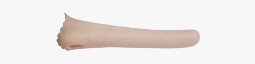 Pinocchio Nose Large - Long Pinocchio Nose Png, transparent png