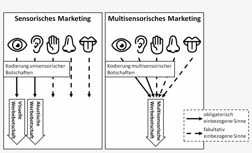 Sensorisches Marketing Versus Multisensorisches Marketing - Multisensuales Marketing Definition, transparent png