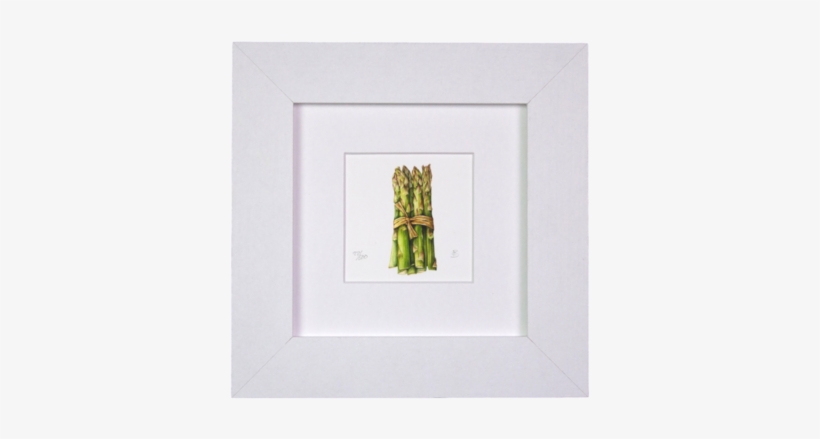 Asparagus Mini Print - Garden Asparagus, transparent png