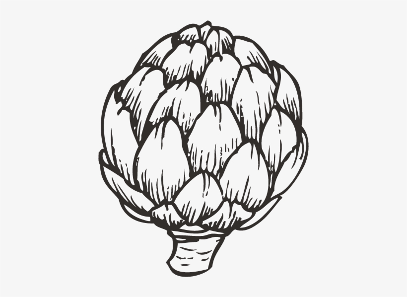 Banner Download Artichoke Drawing Asparagus - Film, transparent png