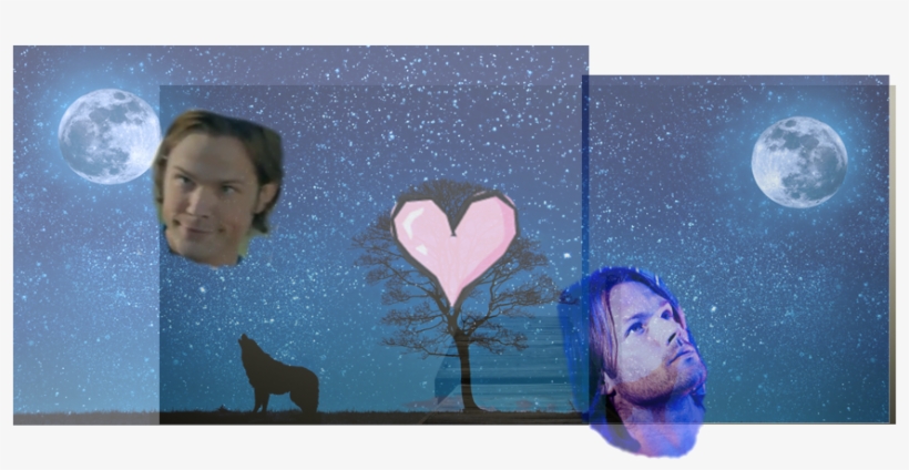 Moon, transparent png