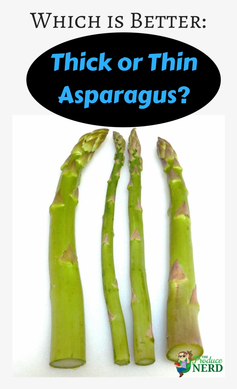 Which Is Better - Thabang Makwetla, transparent png