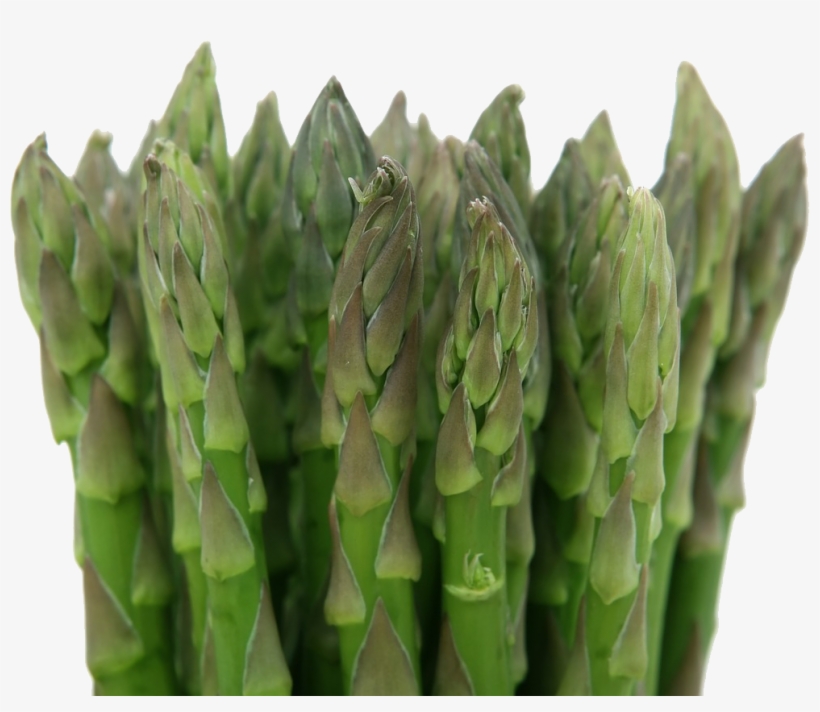 Garden Asparagus, transparent png