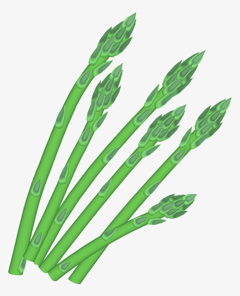 Asparagus - Home Grown Shower Curtain, transparent png