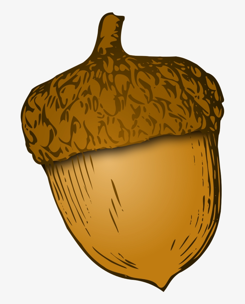 Wikivoc Acorn - Acorn Png, transparent png