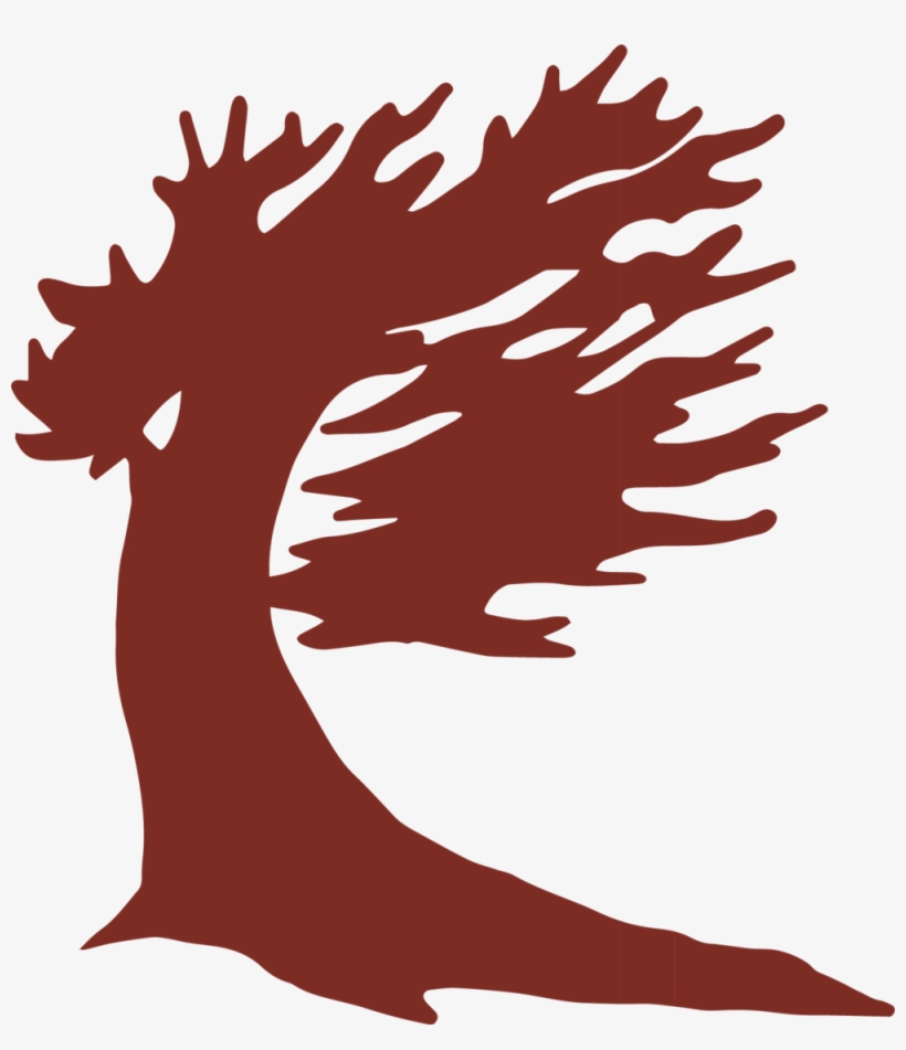 Bristlecone Icon Red Format=1000w, transparent png