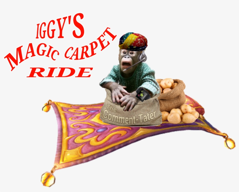 Image - Aaf-cute & Funny Animals Wtf Monkey Car Air Freshener, transparent png