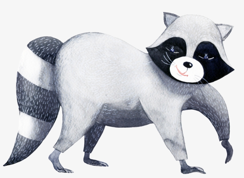 Gray Hand Drawn Animal Cartoon Watercolor Beautiful - Chicraccoon-ruhestands-party Karte, transparent png