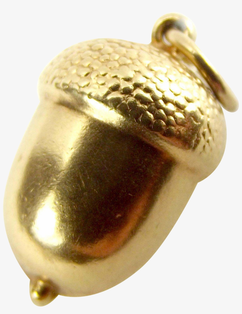 Acorn Transparent Gold Png Free Library - Charm Bracelet, transparent png