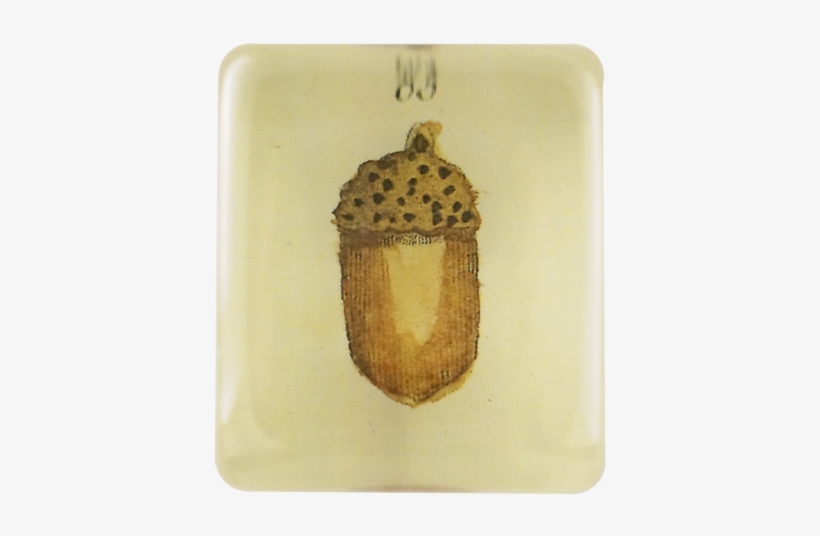 Acorn Acorn - Candle, transparent png