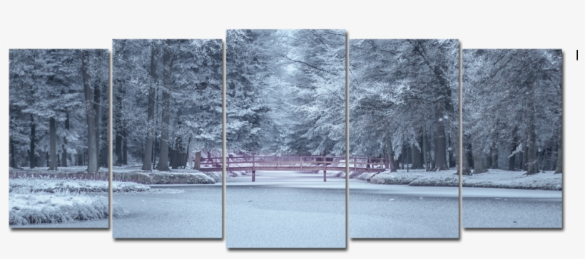 Nature During Winter, transparent png