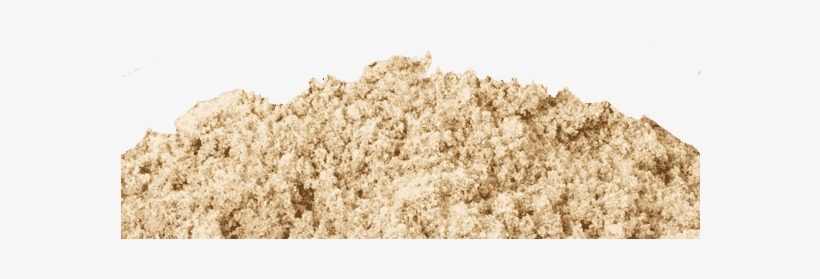 Beach, transparent png