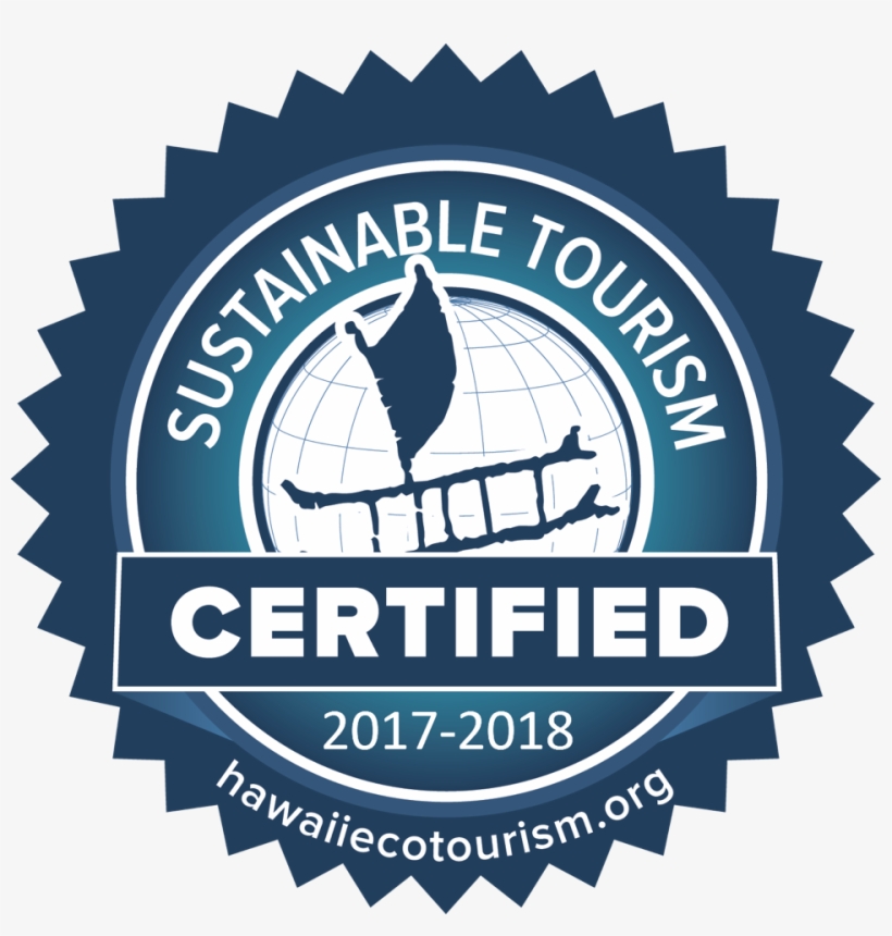 Sustainable Tourism Certified - New York Times Critics Pick Logo Png, transparent png