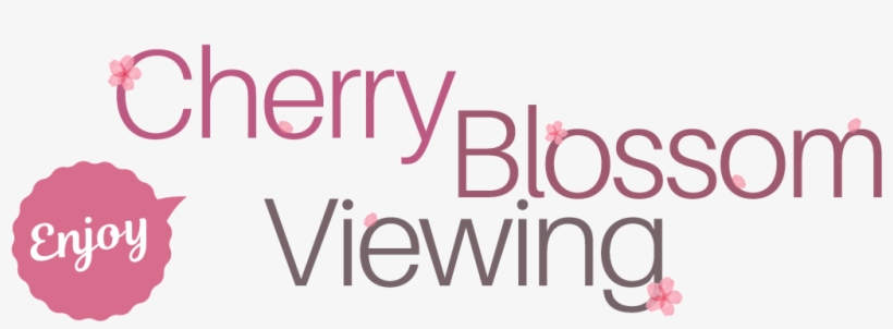 Spring Enjoy Cherry Blossom Viewing - Graphic Design, transparent png