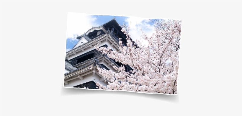 Kumamotokumamoto Castle - Kumamoto Castle, transparent png